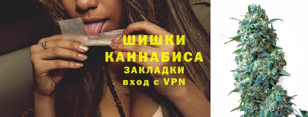 сатива Баксан