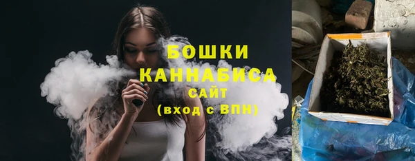 сатива Баксан