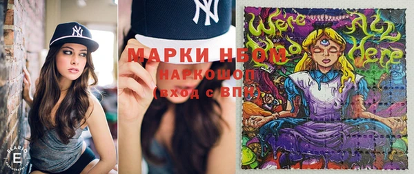 сатива Баксан